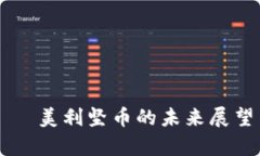 美国加密货币——美利坚币的未来展望与投资风