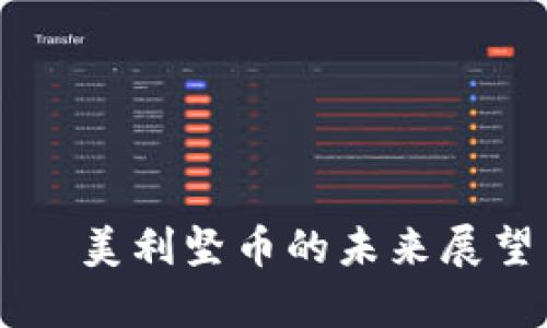 美国加密货币——美利坚币的未来展望与投资风险分析