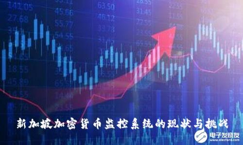 新加坡加密货币监控系统的现状与挑战