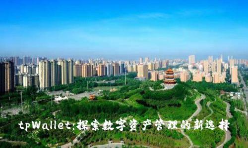 tpWallet:探索数字资产管理的新选择