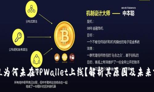 FIL为何未在TPWallet上线?解析其原因及未来前景