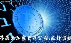 世界最大加密货币公司:先锋与挑战