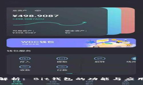 深入解析: Bit钱包的功能与应用前景