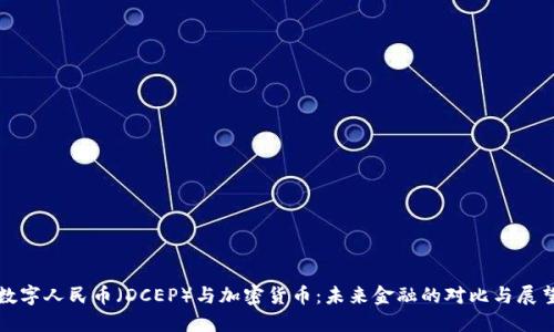 数字人民币(DCEP)与加密货币:未来金融的对比与展望