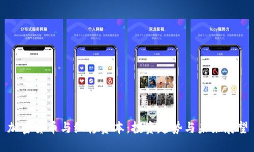 加密货币与红杉资本:投资趋势与未来展望
