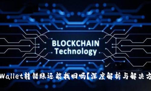 tpWallet转错账还能找回吗?深度解析与解决方案