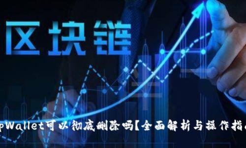 tpWallet可以彻底删除吗?全面解析与操作指南