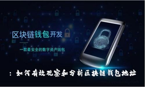 : 如何有效观察和分析区块链钱包地址