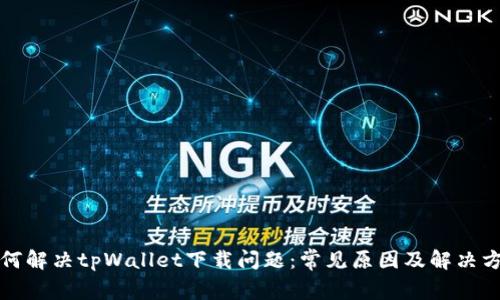 如何解决tpWallet下载问题:常见原因及解决方案