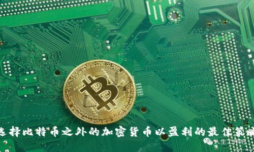 选择比特币之外的加密货币以盈利的最佳策略