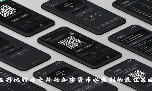 选择比特币之外的加密货币以盈利的最佳策略