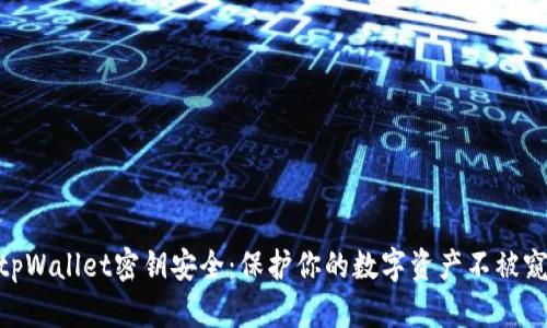 : tpWallet密钥安全:保护你的数字资产不被窥探