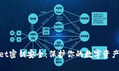 : tpWallet密钥安全:保护你的数字资产不被窥探