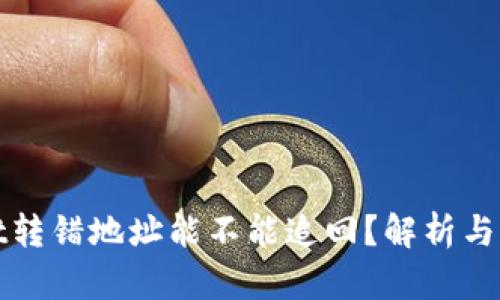 tpWallet转错地址能不能追回?解析与解决方案