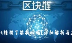 tpWallet转错了能找回吗?详细解析与应对策略