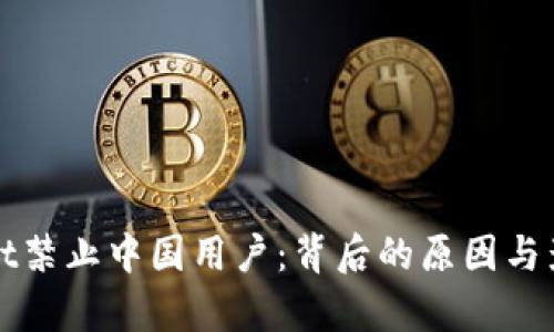 tpWallet禁止中国用户:背后的原因与影响分析