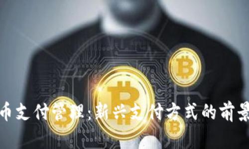 加密货币支付管理:新兴支付方式的前景与挑战