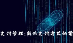 加密货币支付管理:新兴支付方式的前景与挑战