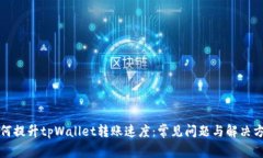 如何提升tpWallet转账速度:常见问题与解决方案