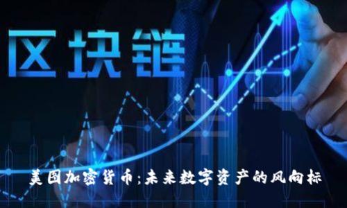 美图加密货币：未来数字资产的风向标