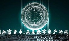 美图加密货币：未来数字资产的风向标