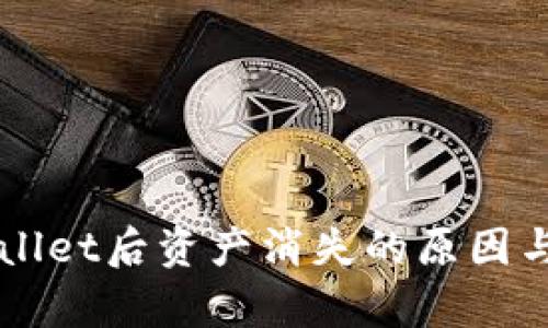 转入tpWallet后资产消失的原因与解决方案
