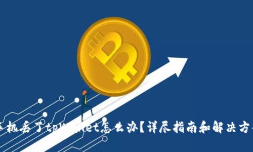 手机丢了tpWallet怎么办?详尽指南和解决方案