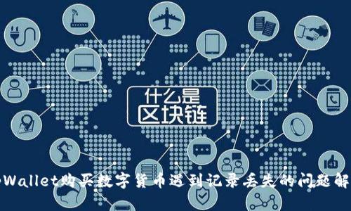 tpWallet购买数字货币遇到记录丢失的问题解析