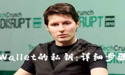 如何更改tpWallet的私钥：详细步骤与注意事项