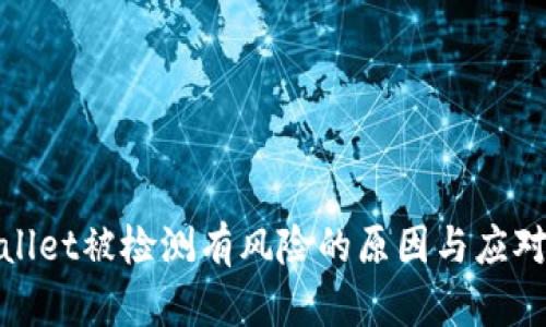 tpWallet被检测有风险的原因与应对措施