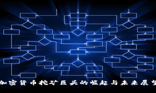 加密货币挖矿巨头的崛起与未来展望