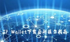 TP Wallet下载后的操作指南