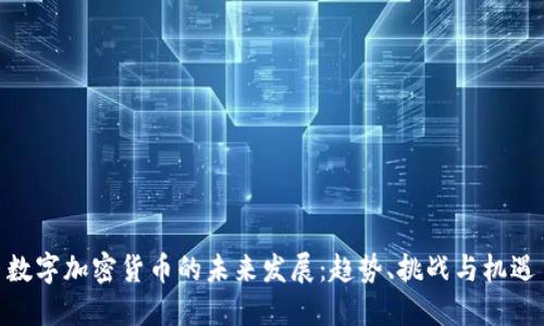 数字加密货币的未来发展:趋势、挑战与机遇