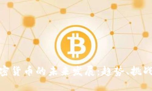 数字加密货币的未来发展:趋势、挑战与机遇