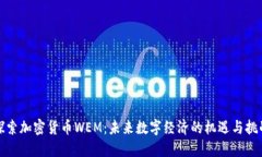 探索加密货币WEM:未来数字经济的机遇与挑战