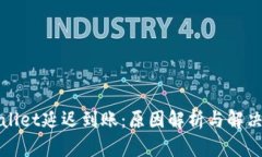 tpWallet延迟到账:原因解析与解决方案