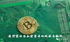 菲律宾非法加密货币的现状与挑战