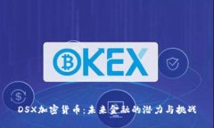 DSX加密货币:未来金融的潜力与挑战