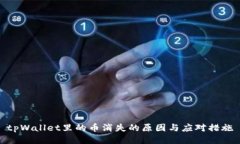 tpWallet里的币消失的原因与应对措施