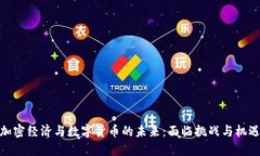 加密经济与数字货币的未来:面临挑战与机遇