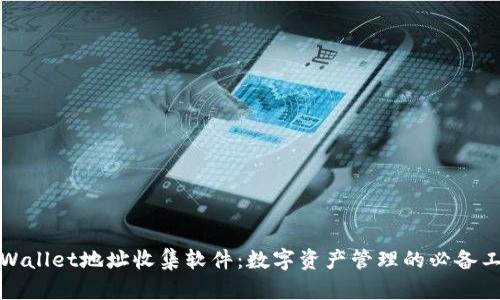 tpWallet地址收集软件:数字资产管理的必备工具