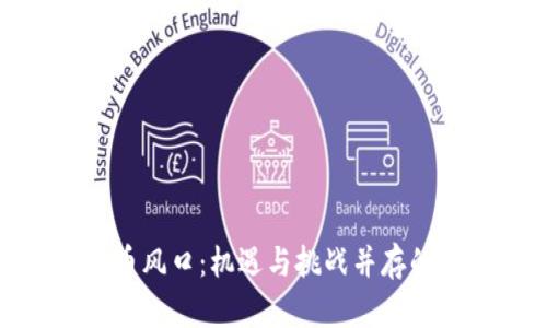加密货币风口：机遇与挑战并存的新时代