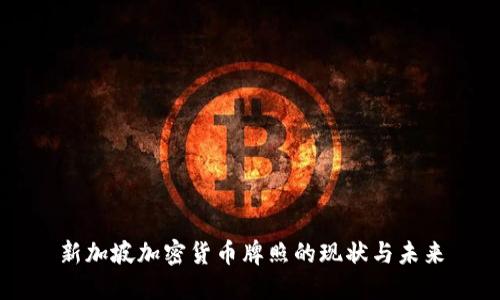 新加坡加密货币牌照的现状与未来