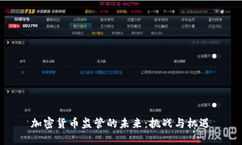 加密货币监管的未来:挑战与机遇