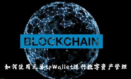 如何使用元兽tpWallet进行数字资产管理
