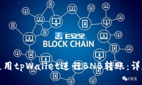 如何使用tpWallet进行BNB转账:详尽指南