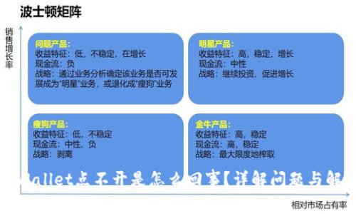 我的tpWallet点不开是怎么回事?详解问题与解决方案
