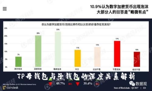 TP母钱包与子钱包的深度关系解析