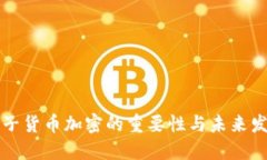 电子货币加密的重要性与未来发展