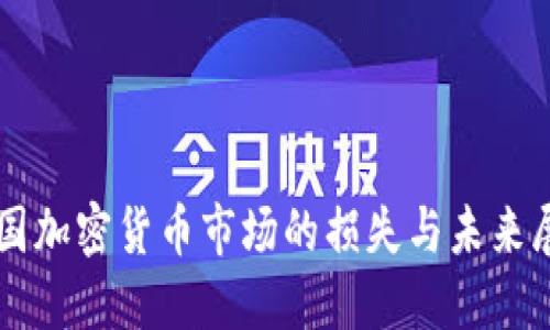美国加密货币市场的损失与未来展望